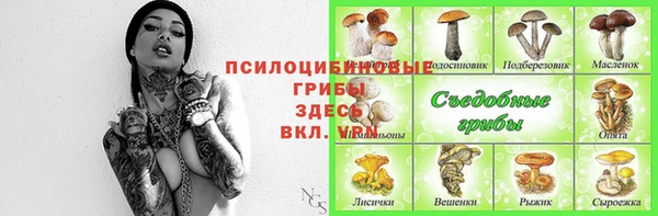 мяу мяу мука Алексеевка