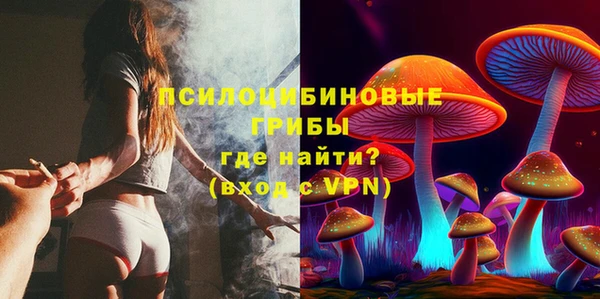 мяу мяу мука Алексеевка